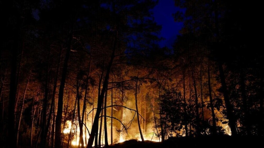 Fontainebleau fire: 800 hectares burned, two water bombers deployed