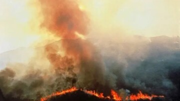 Les incendies en Amazonie brésilienne chutent à leur plus bas niveau depuis 1985