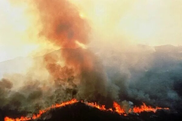 Les incendies en Amazonie brésilienne chutent à leur plus bas niveau depuis 1985