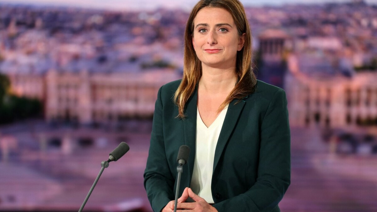 Les militants écologistes soutiennent une candidature de Marine Tondelier en 2027