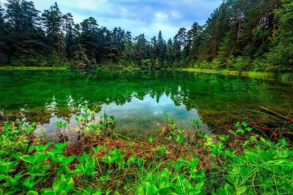 L’Estonie en tête d’un classement environnemental dominé par l’Europe