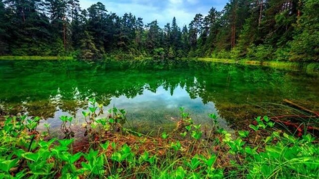 L’Estonie en tête d’un classement environnemental dominé par l’Europe