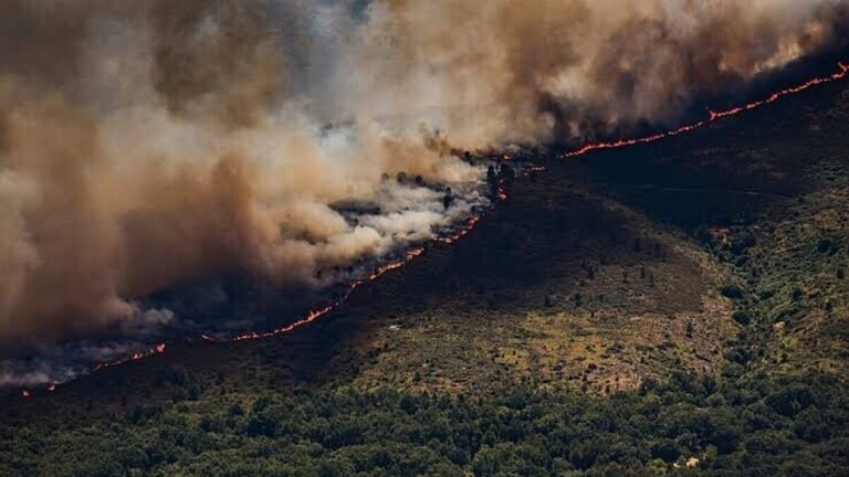 L’OMS alerte sur une hausse de 57 % des feux de forêt en Europe depuis 2022