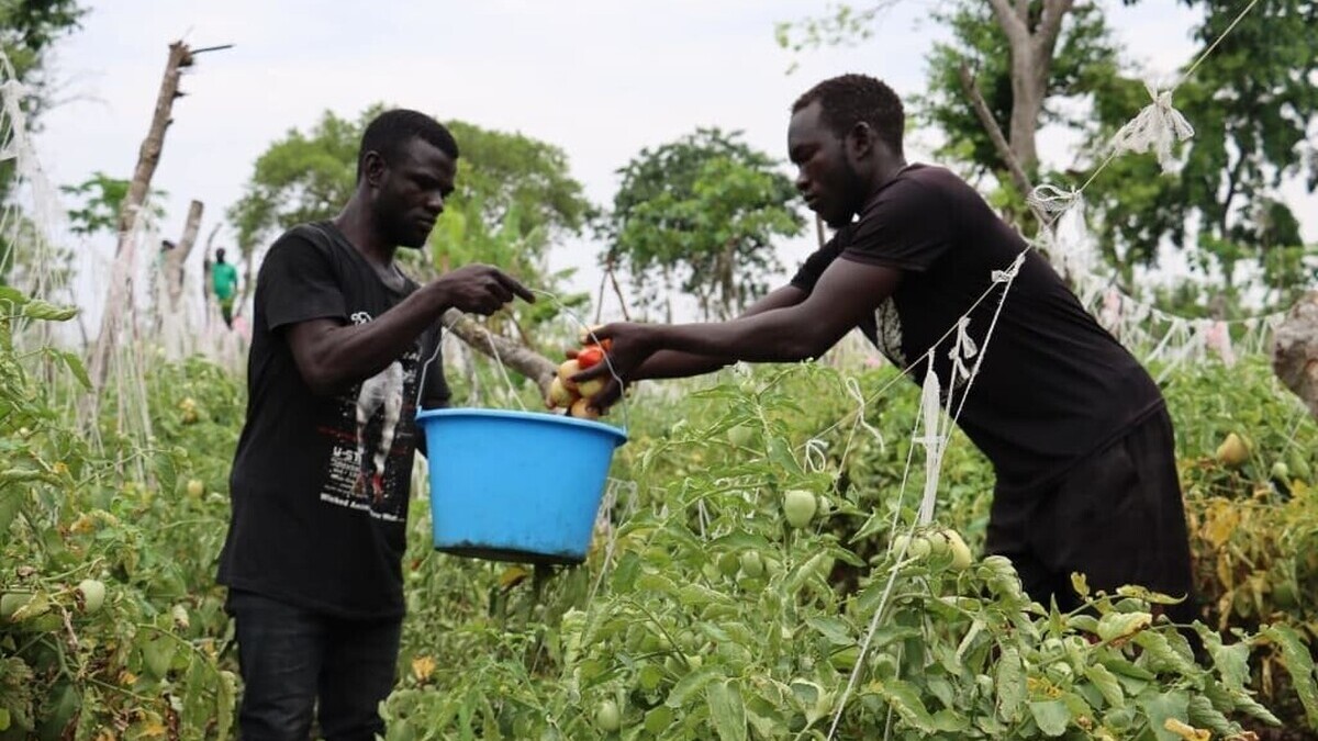 L’Ouganda distribue des vivres d’urgence après 19 morts de faim
