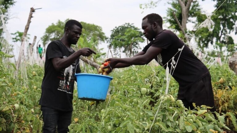 L’Ouganda distribue des vivres d’urgence après 19 morts de faim