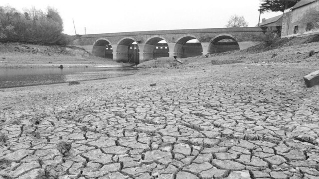 Sécheresse en France : un hydrologue alerte sur une situation proche de 1976 Sécheresse en France : un hydrologue alerte sur une situation proche de 1976