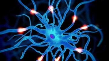 Teva et Polpharma Biologics s’associent pour un biosimilaire contre la sclérose en plaques