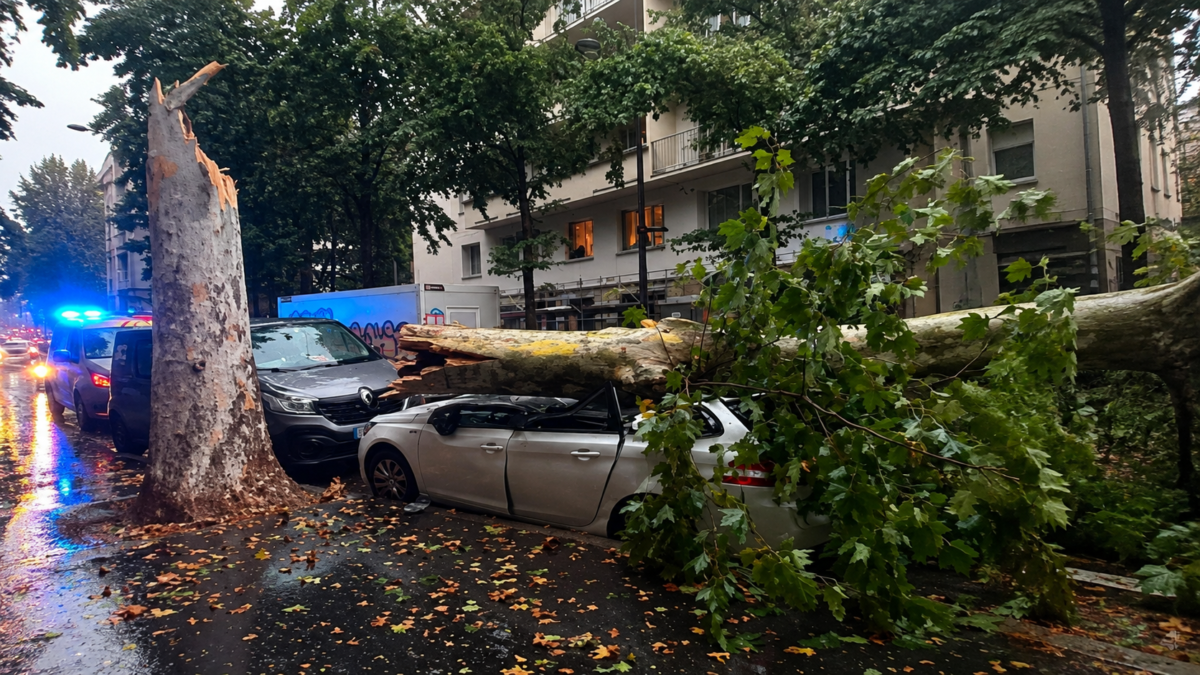 De violents orages frappent le Rhône et la Loire, une voiture écrasée par un arbre à Lyon