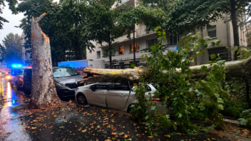 De violents orages frappent le Rhône et la Loire, une voiture écrasée par un arbre à Lyon