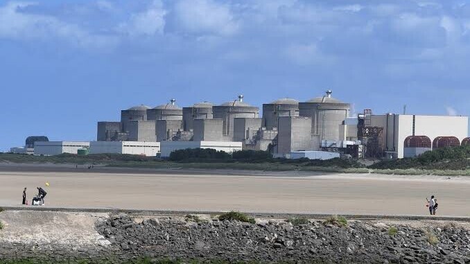 Gravelines : un afflux massif de méduses provoque l’arrêt de trois réacteurs nucléaires