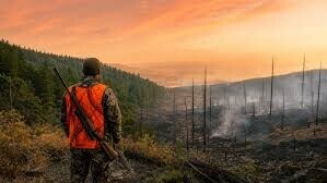 Après les incendies, la chasse laissée à l'appréciation des préfets