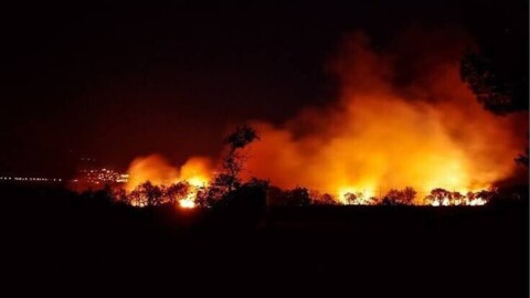 Incendie en Corse : 200 habitants évacuent malgré les consignes de confinement