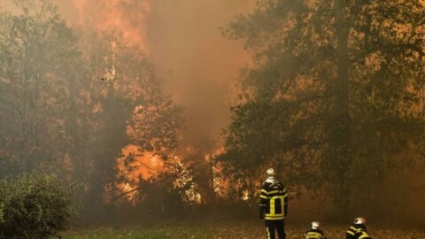 Incendies : FireWatch, la plateforme de détection des feux de forêt, devient opérationnelle
