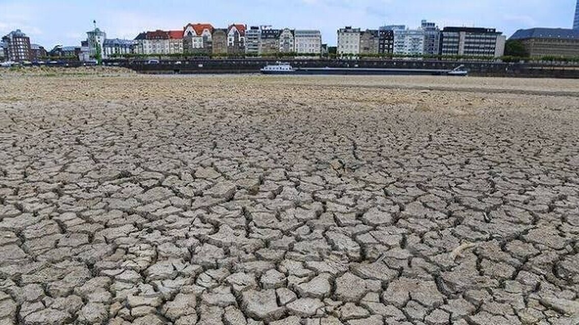 Le Rhin presque à sec : l’industrie allemande redoute une nouvelle paralysie