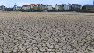 Le Rhin presque à sec : l’industrie allemande redoute une nouvelle paralysie