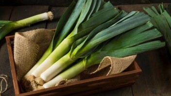 Le poireau, ce légume bon marché qui mérite une place toute l’année dans nos assiettes