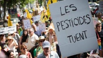 Loi d’urgence agricole : huit ONG réclament la censure d’un texte jugé dangereux pour la santé