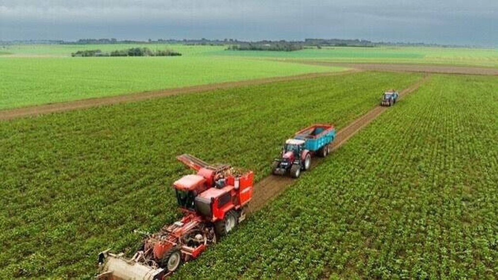 Loi d’urgence agricole : le Conseil constitutionnel valide le retour encadré de deux pesticides