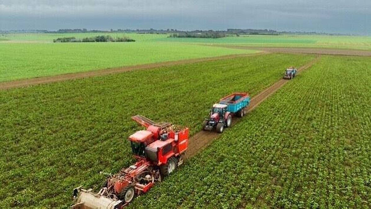 Loi d’urgence agricole : le Conseil constitutionnel valide le retour encadré de deux pesticides