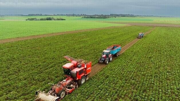 Loi d’urgence agricole : le Conseil constitutionnel valide le retour encadré de deux pesticides