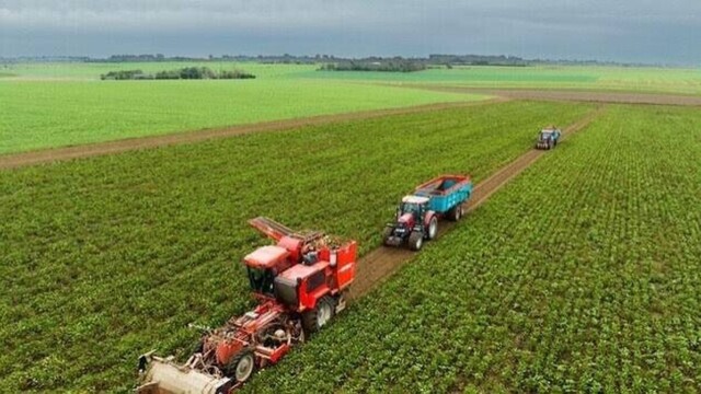 Loi d’urgence agricole : le Conseil constitutionnel valide le retour encadré de deux pesticides