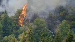 Lozère : plus de 153 hectares parcourus par un incendie, vingt maisons évacuées