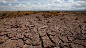 Royaume-Uni : la sécheresse des terres agricoles menace la sécurité alimentaire