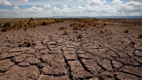 Royaume-Uni : la sécheresse des terres agricoles menace la sécurité alimentaire