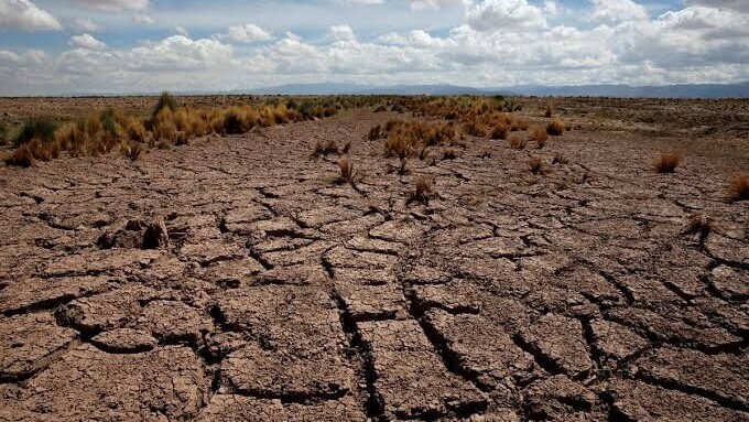 Royaume-Uni : la sécheresse des terres agricoles menace la sécurité alimentaire