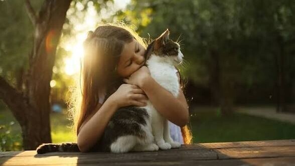 Éclipse solaire du 12 août : faut-il protéger les yeux de son chien ou chat ?
