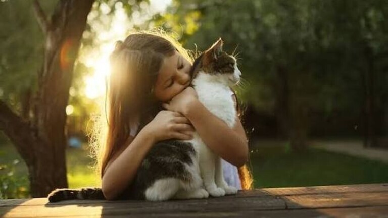 Éclipse solaire du 12 août : faut-il protéger les yeux de son chien ou chat ?