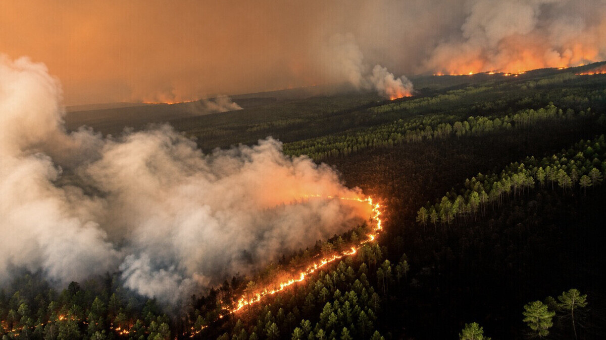 Le mégafeu de Gironde est fixé : un espoir après 11 jours de combat contre les flammes