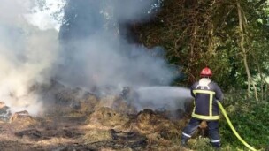 Incendie à Villeneuve-en-Perseigne : deux hectares d'herbes sèches détruits