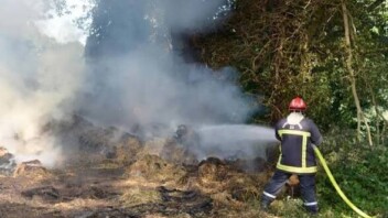 Incendie à Villeneuve-en-Perseigne : deux hectares d'herbes sèches détruits