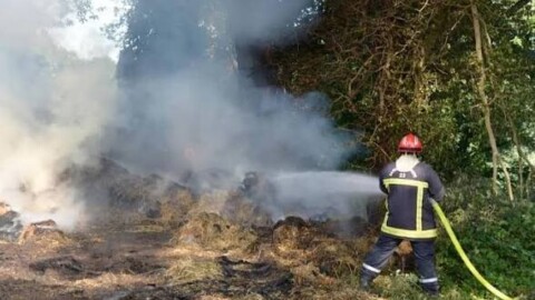 Incendie à Villeneuve-en-Perseigne : deux hectares d'herbes sèches détruits