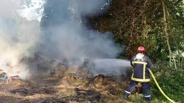 Incendie à Villeneuve-en-Perseigne : deux hectares d'herbes sèches détruits