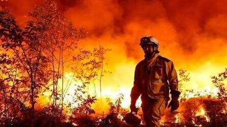 Mégafeux : neuf incendies sur dix démarrent par la main de l'homme