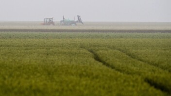 Martinique : près de 20 tonnes de glyphosate utilisées en 2023