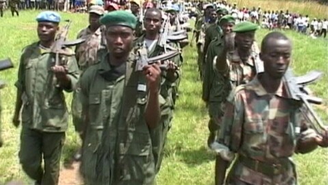 RDC : Kinshasa présente un protocole de démobilisation des rebelles des FDLR