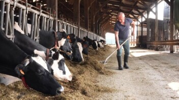 Sécheresse : les éleveurs contraints de puiser dans leurs réserves d'hiver