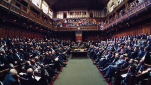 A British parliamentary report calls for a ban on flea treatments for animals.