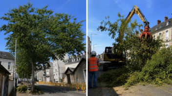 À Tours, le paradoxe du maire écologiste Emmanuel Denis: des dizaines d’arbres sacrifiés pour faire passer le tramway