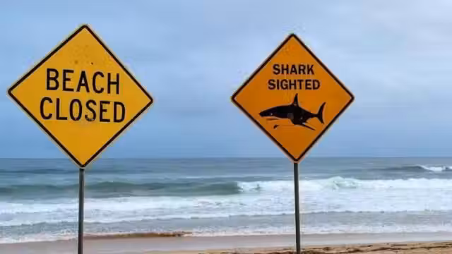 Australie : un homme grièvement blessé après une attaque de requin — photo