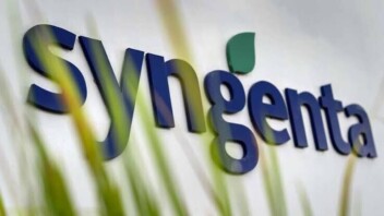 Blé : la greentech lyonnaise Amoéba s’allie à Syngenta pour imposer son biofongicide
