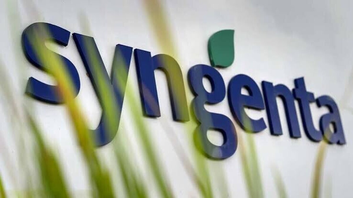 Wheat: Lyon-based greentech company Amoéba partners with Syngenta to promote its biofungicide
