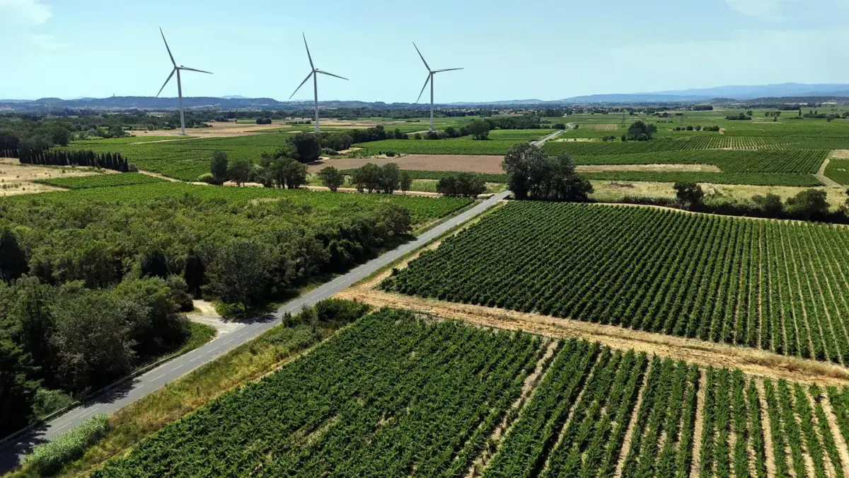 Canicules et sécheresse : la croissance française amputée de 0,1 point en 2026
