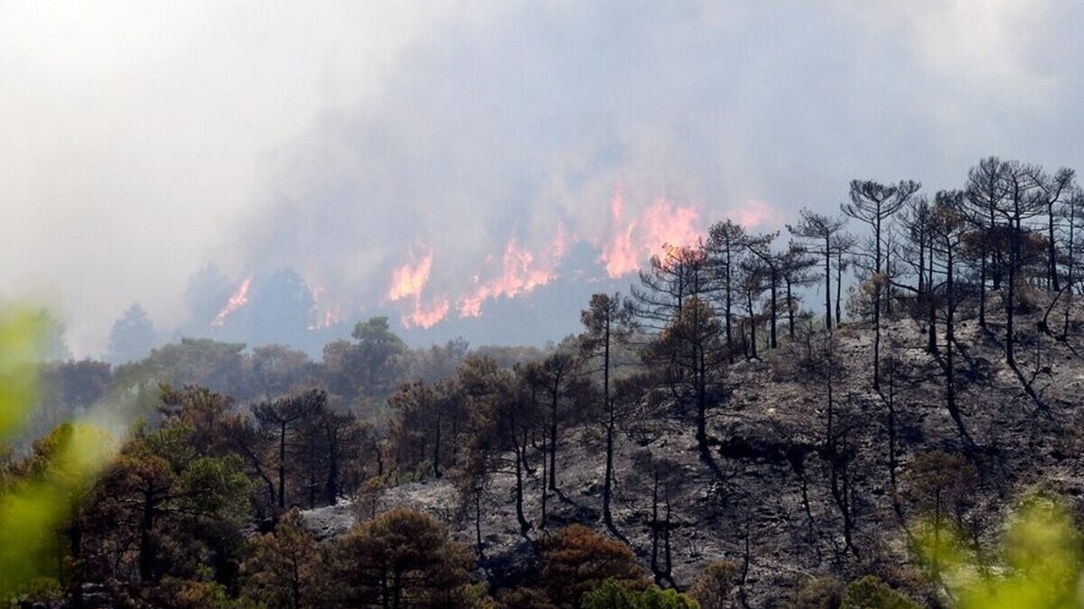 Incendies : près de 98 000 hectares brûlés en France depuis le début de l’année