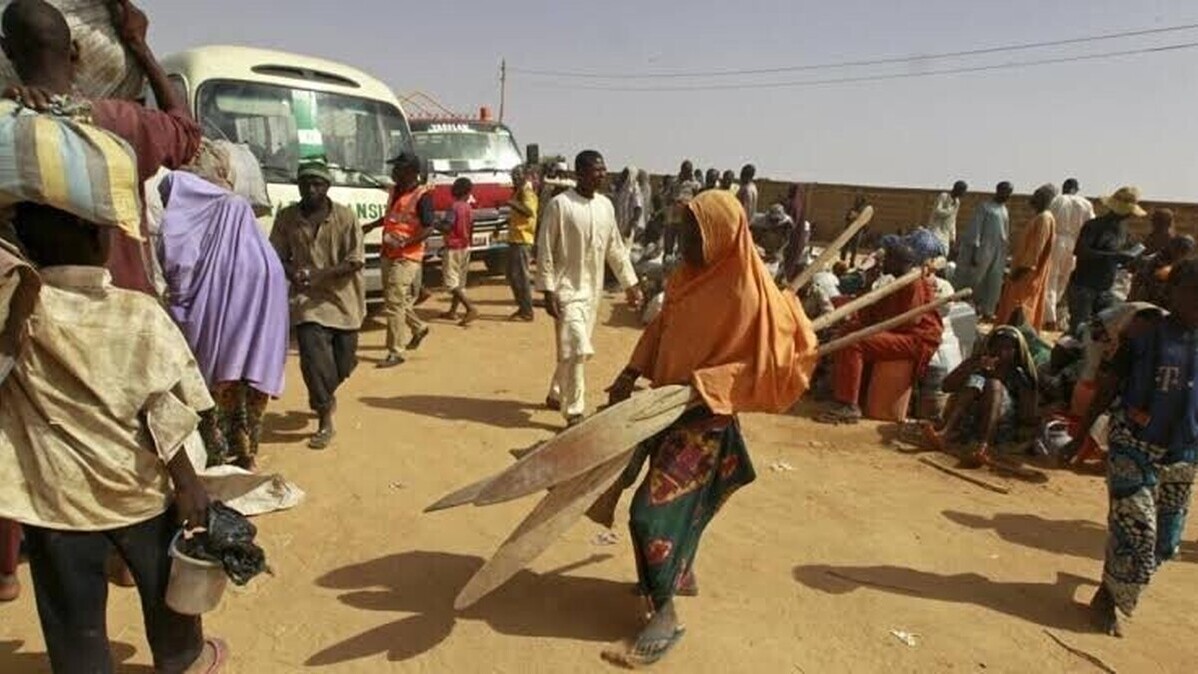 Au Tchad, plus de 75 000 personnes déplacées par la résurgence de Boko Haram