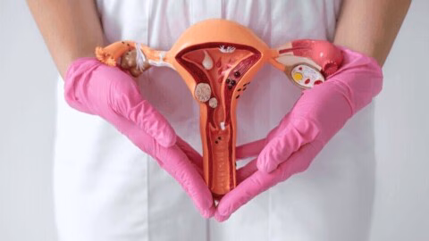Endométriose : quand des règles très douloureuses cachent une véritable maladie