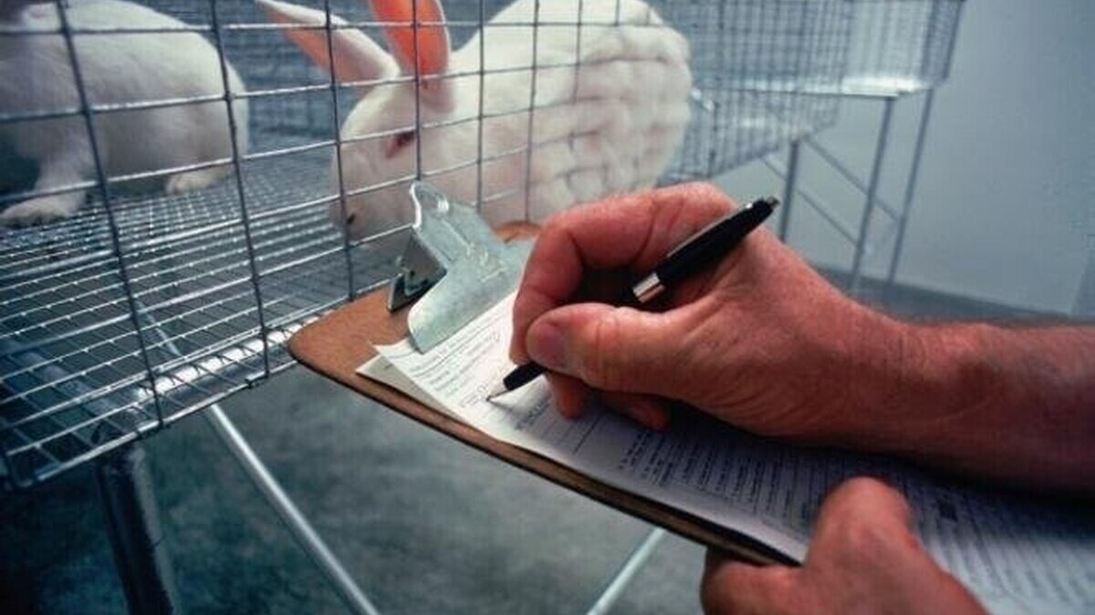 Les États-Unis engagent une réforme de fond pour réduire les tests sur animaux dans le développement des médicaments